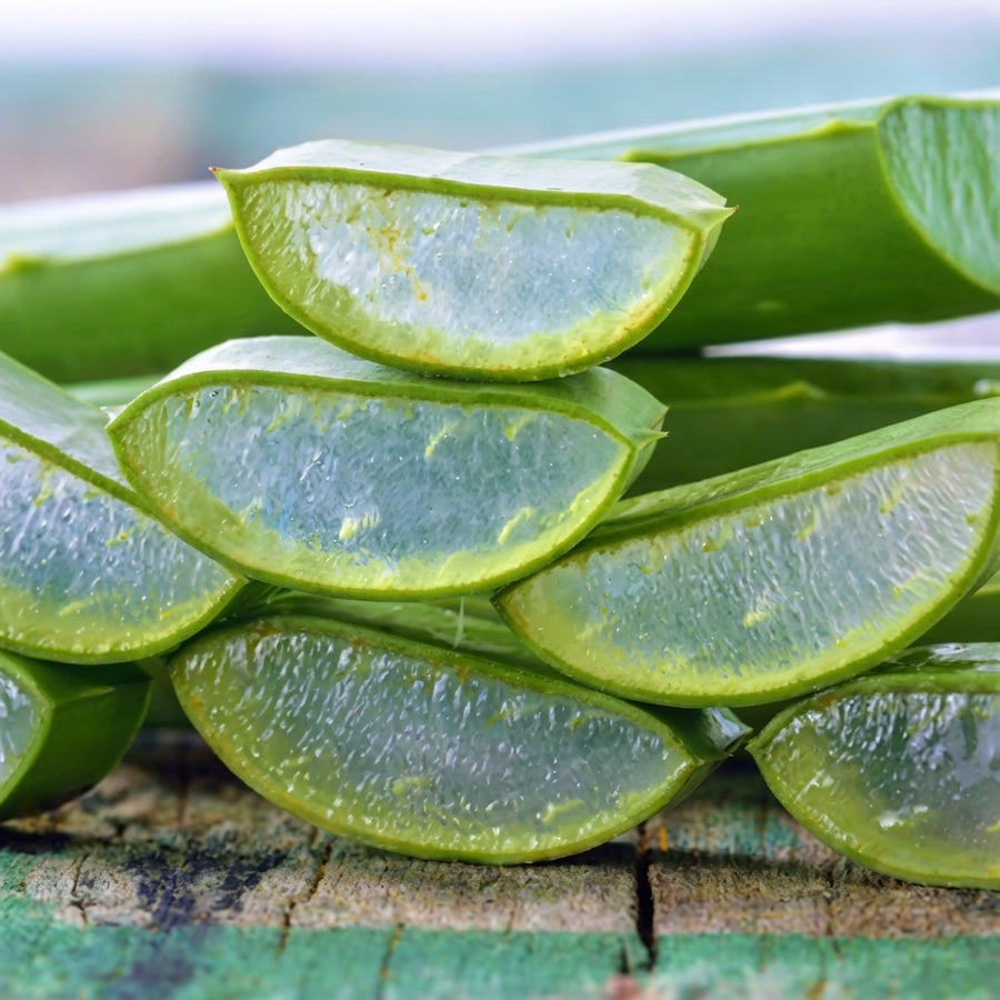 Aloe vera & douceur